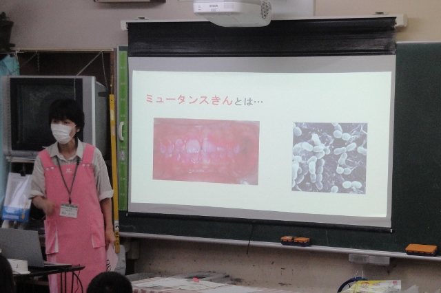 写真